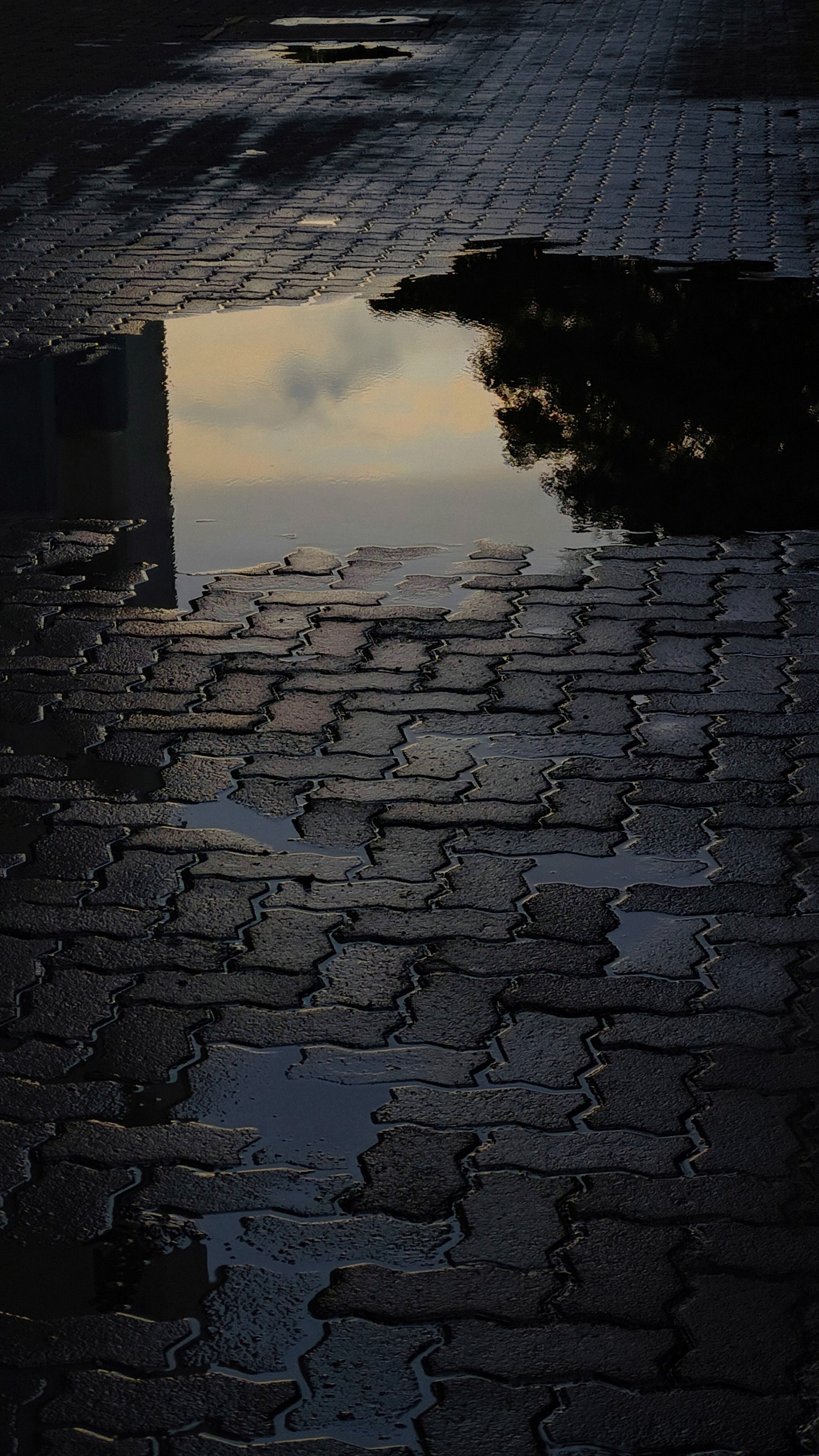 TB-04 UNDERTOW campaign shot, wet reflective cobblestone street